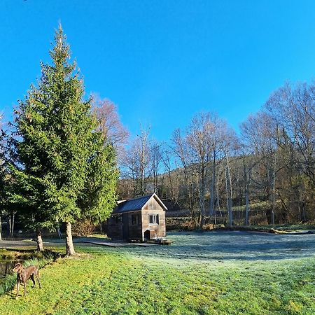 Insolite Tiny House Serenite Bien Etre Ban-sur-Meurthe-Clefcy Buitenkant foto