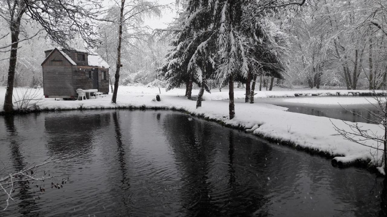 Insolite Tiny House Serenite Bien Etre Ban-sur-Meurthe-Clefcy Buitenkant foto